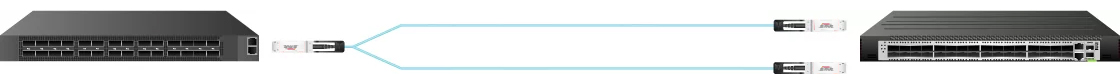 200G QSFP28-DD to 2x 100G QSFP28 AOC Connection Diagram